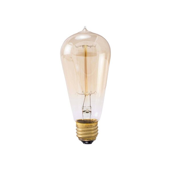Edison Vintage 40 Watt Light Bulb